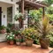 12 Tanaman Pot yang Tahan Panas di Depan Rumah, Paling Cantik dan Tangguh