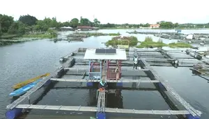 PLN Indonesia Power Kembangkan Empat Proyek PLTS Raksasa