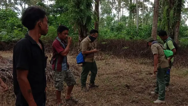 Lokasi penemuan bangkai ternak
