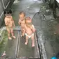 Tiga orang bocah mengenakkan popok mencoba berpetualang dan menarik perhatian penduduk di sekitar mereka (Shanghaiist.com). 