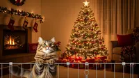 7 Cara Aman Jauhkan Kucing dari Pohon Natal, Tips Efektif Menurut Para Ahli