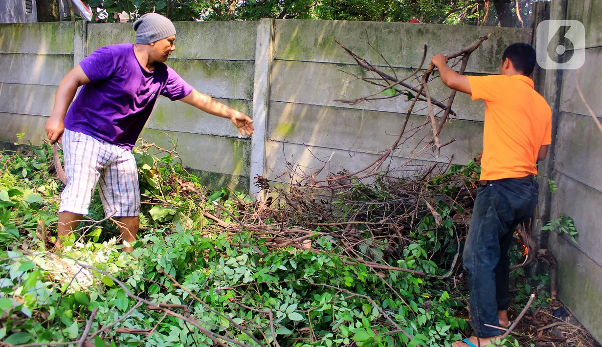 Warga Perumahan Citayam Village saat melakukan kerja bakti di Bojonggede, Kab. Bogor, Sabtu (14/12/2019). Seekor anak ular kobra itu berhasil ditemukan warga yang kerja bakti untuk membersihkan lingkungan sekaligus melakukan penyisiran pencarian induk ular kobra (merdeka.com/Magang/Muhammad Fayyadh)