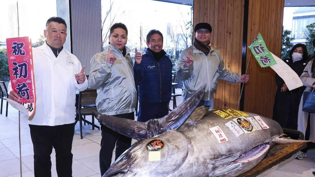 Tuna Sirip Biru Seukuran Motor Terjual Rp21 Miliar di Pelelangan Ikan Jepang