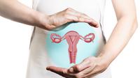 Ilustrasi organ reproduksi. (Shutterstock/Svetazi)
