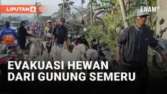 EVAKUASI HEWAN