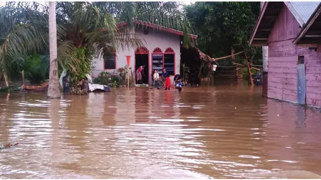  Sejumlah kecamatan di Kabupaten Aceh Timur dan Aceh Utara, Provinsi Aceh dilanda banjir akibat hujan deras dan meluapnya beberapa sungai. Banjir sejak Minggu 7 Februari 2016 itu menyebabkan 4 ribu warga harus mengungsi.