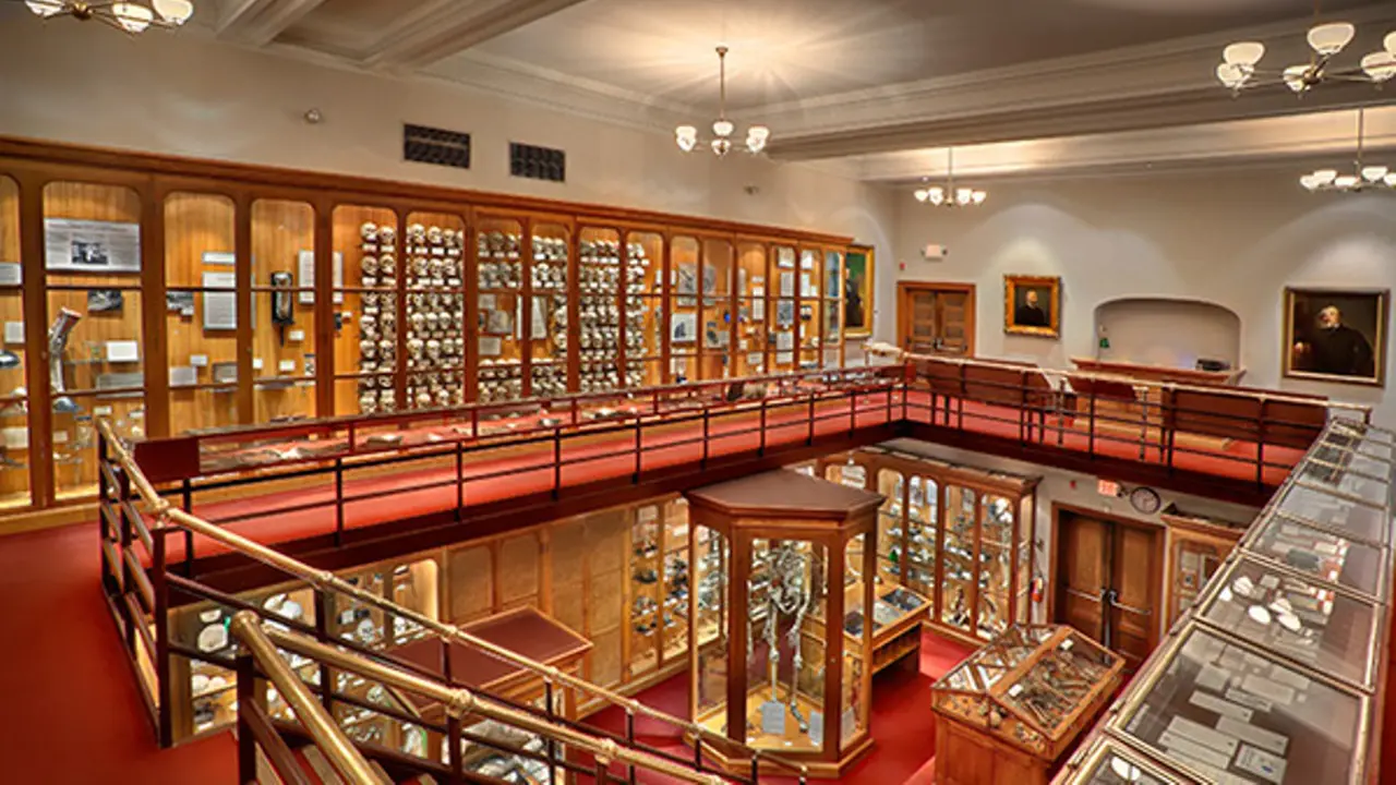 The Mütter Museum (Foto: muttermuseum.org).