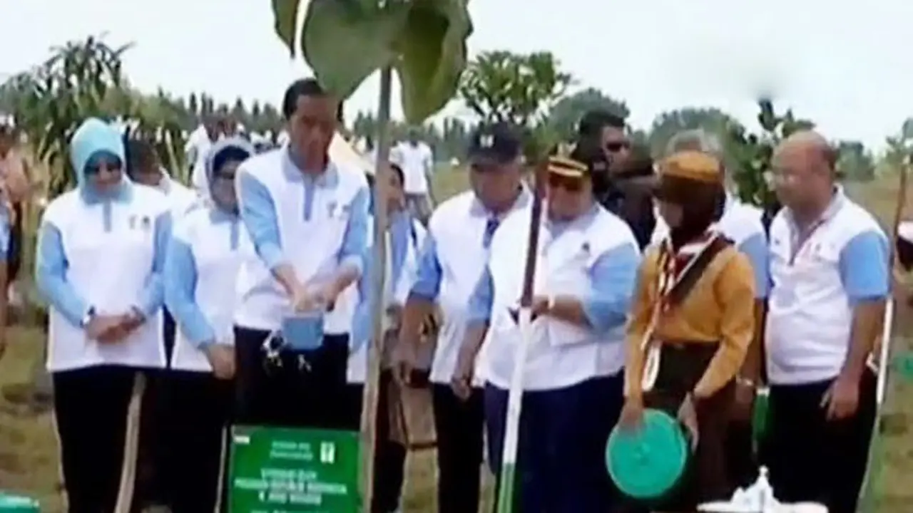 Jokowi Tanam Pohon