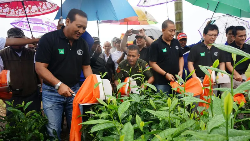  Dirut RNI B. Didik Prasetyo meresmikan pabrik Teh Hijau Terbesar di Asia Tenggara. (Foto: Humas RNI)