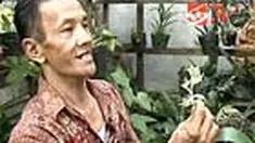 liputan6
