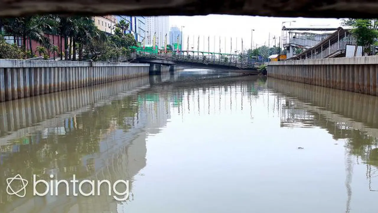 Ini Penampakan Sungai di Jakarta yang Semakin Jernih