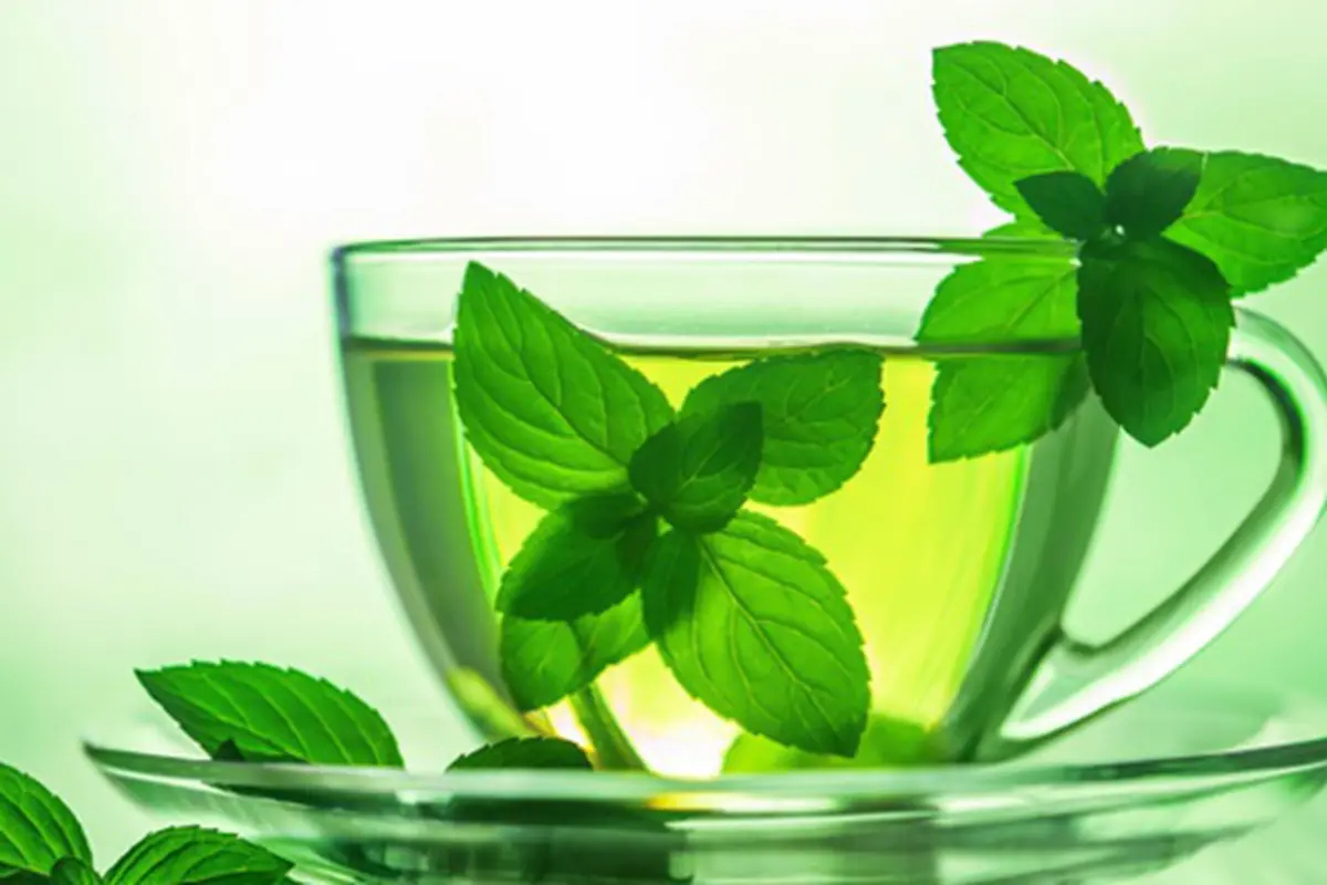 Photo: Copyright Thinkstockphotos.com