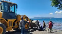 Sejumlah alat berat dikerahkan untuk evakuasi bangkai paus dari perairan Bulusan Banyuwangi. (Hermawan Arifianto/Liputan6.com)