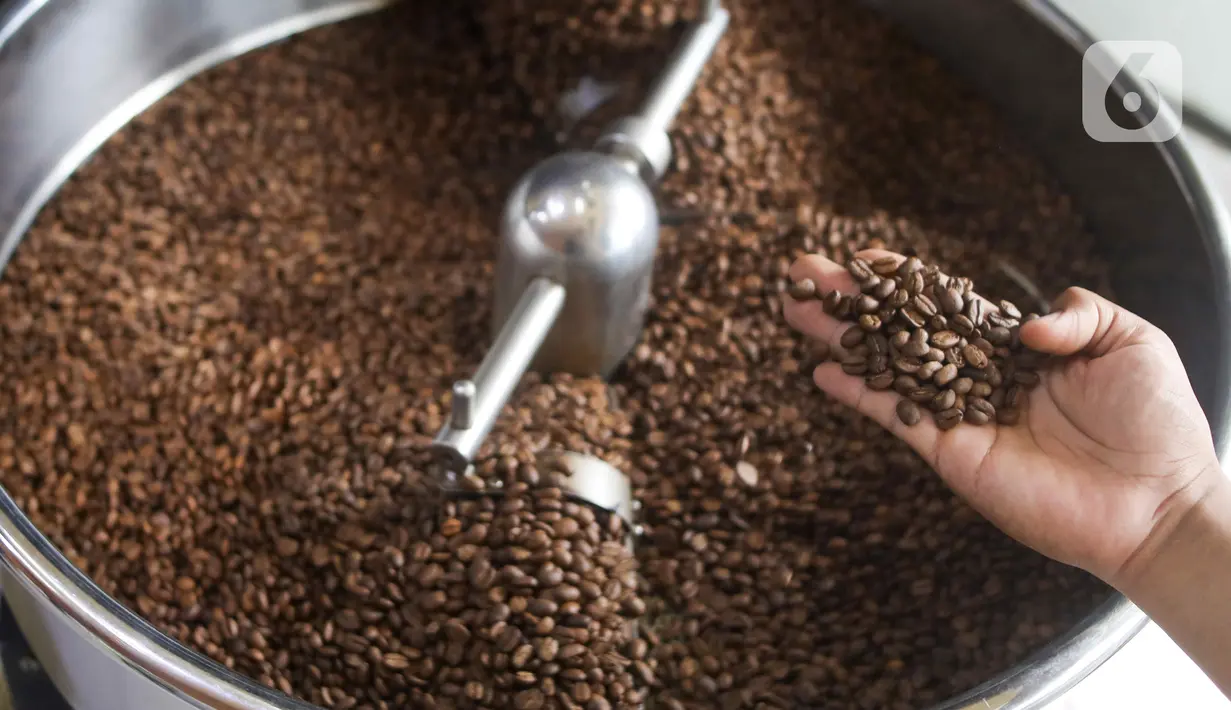Saat ini, rata-rata rata-rata produktivitas kopi di Indonesia mencapai 3-4 ton per hektar. (Liputan6.com/Herman Zakharia)