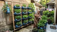 9 Cara Membuat Kebun Mini dari Galon Bekas yang Cocok untuk Rumah Subsidi