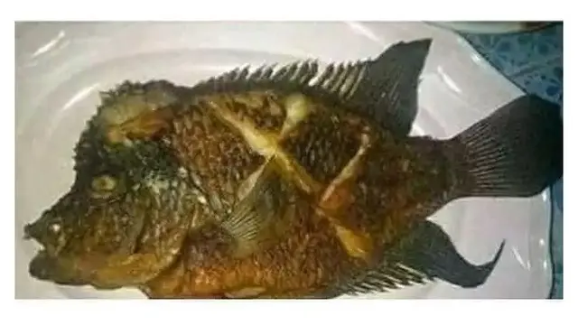 6 Menu Buka Puasa Pakai Ikan Hias Ini Nyeleneh, Absurd Maksimal