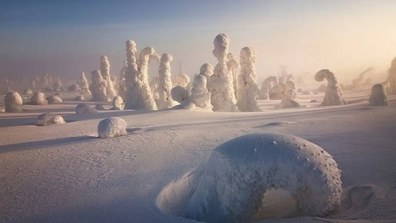 Pohon membeku di Finlandia jadi objek foto Niccolo Bonfandini