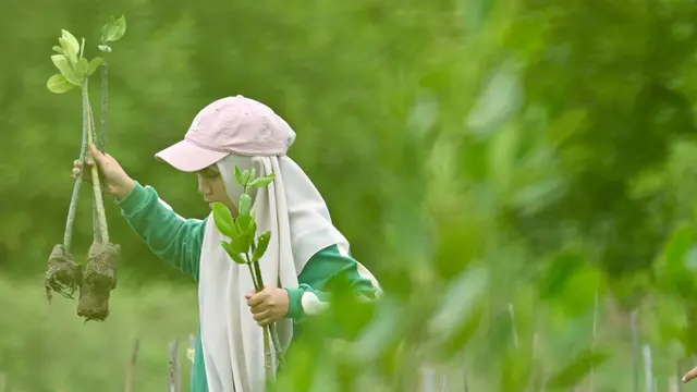 Realisasikan Kesadaran dan Rasa Tanggung Jawab Lingkungan Para Siswa di Banda Aceh Tanam Mangrove