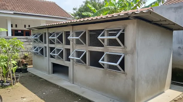 Model Kandang Ayam Tembok Semi Permanen yang Tahan Lama dan Aman Desain Ventilasi Silang Optimal