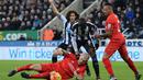 Pemain Newcastle United dan Liverpool berebut bola dalam lanjutan Liga Inggris di Stadion St James' Park, Newcastle, Minggu (6/12/2015). (AFP/Oli Scarff)