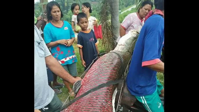 [Bintang] Lebih Heboh dari Ikan Arapaima, Remaja Ini Temukan Ikan Bergigi Mirip Manusia