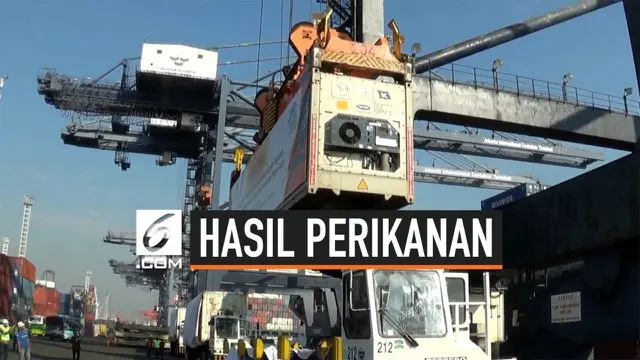 VIDEO: KKP Ekspor 8,9 Ribu Ton Hasil Perikanan Senilai Rp 588 Miliar