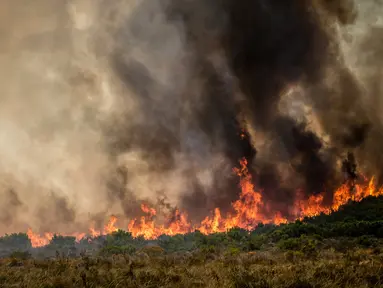 Kebakaran melanda kawasan Somerset West dekat Cape Town, Afrika Selatan, Rabu (4/1). Kebakaran tersebut telah menghancurkan sebagian wilayah perkebunan tertua di Afsel. (AP Photo / Stefan Smuts)