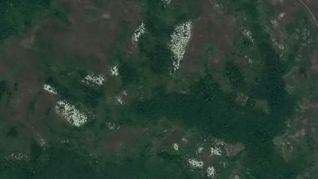 Hutan Anggrek Kenohan