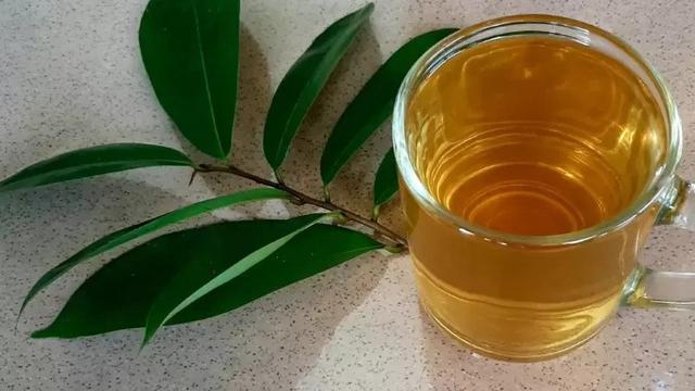 5 Resep Minuman Hangat untuk Turunkan Kolesterol, Hanya 3 Bahan Saja