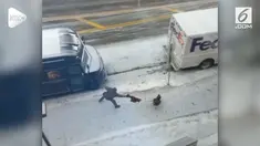 Seorang sopir truk ekspedisi diserang ayam kalkun liar. Awalnya ayam tersebut diganggu karena dianggap menghalangi jalan.