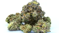 Singapura Eksekusi Mati Terpidana Kasus Ganja, Picu Sorotan Internasional