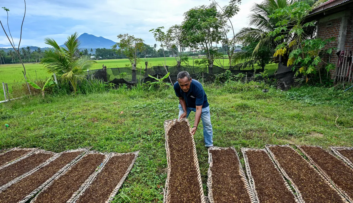 Di sisi lain, anggota Komisi VII DPR RI Fraksi Gerindra, Bambang Haryo Soekartono juga menyoroti Peraturan Pemerintah (PP) Nomor 28 Tahun 2024 tentang Pengamanan Zat Adiktif yang mendapat banyak kritik dari asosiasi petani tembakau. (CHAIDEER MAHYUDDIN/AFP)