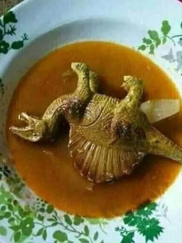 6 Potret Absurd Lauk Makan dari Hewan Buas Versi Mainan Ini Enggak Habis Pikir