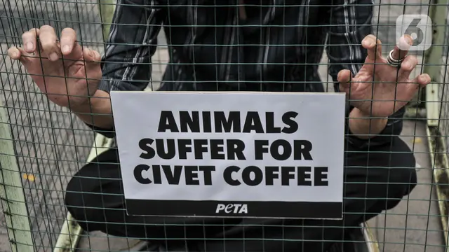 Aksi PETA Kecam Eksploitasi Luwak untuk Produksi Kopi