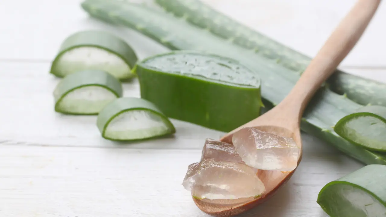 aloe vera
