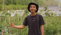 Harga Sayur Lebih Stabil Setelah Ada MBG, Petani Boyolali Harap Program Terus Berlanjut