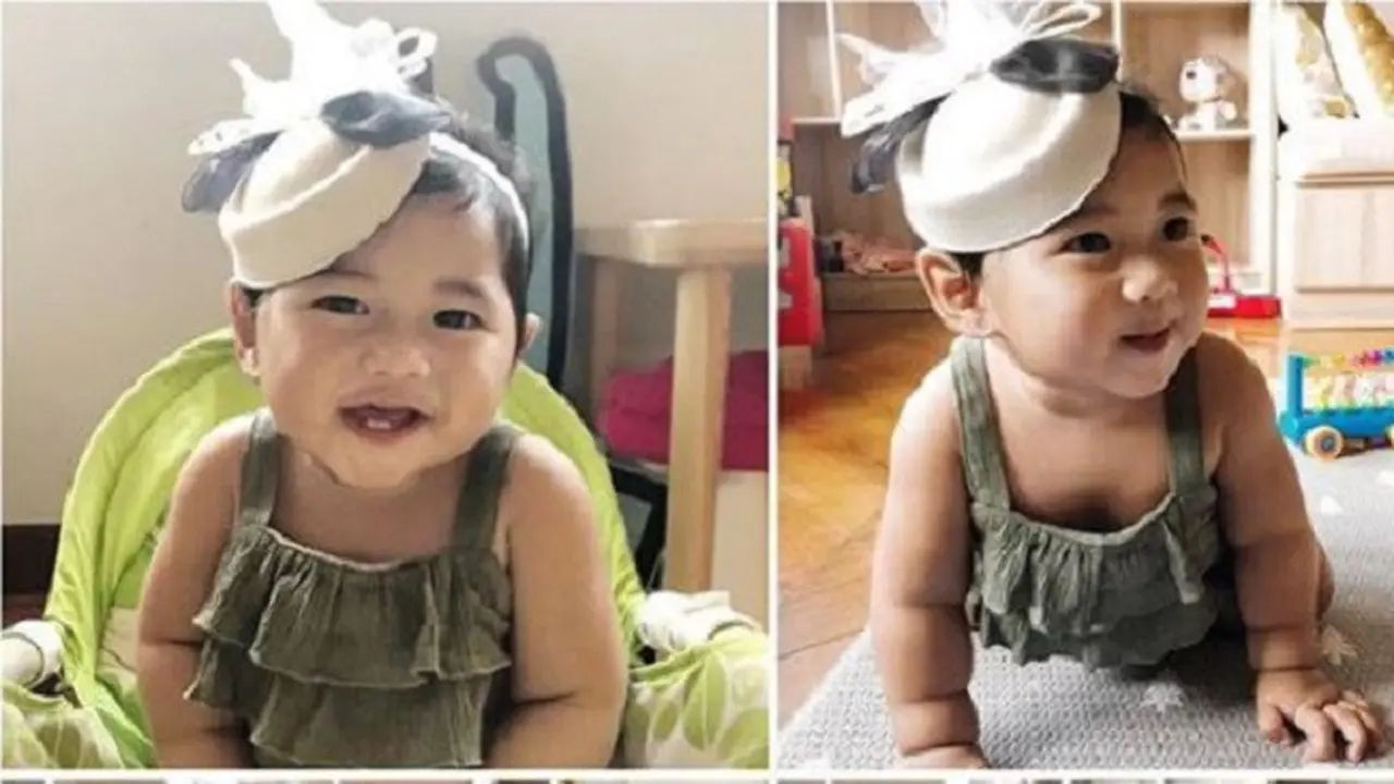 Anak Aliya Rajasa