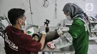 9 Desember Memperingati Hari Apa? Ini Alasan Dunia Merayakan Hari Kedokteran Hewan Internasional