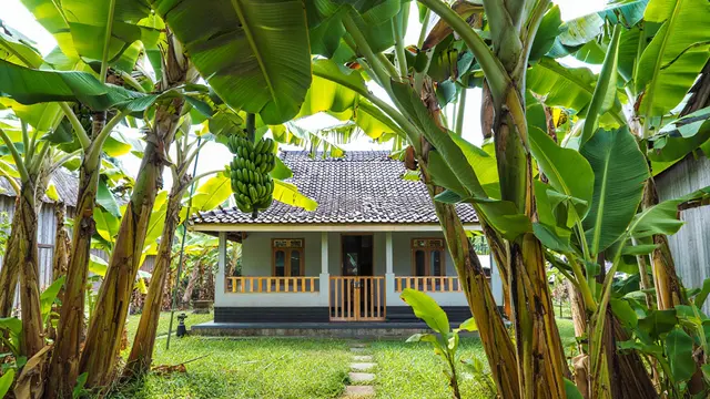 Ide Rumah Sederhana Sejuk di Desa dengan Pohon Buah (AI)