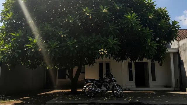 Tanaman Peneduh untuk Parkiran Motor
