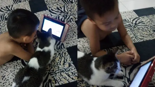 6 Tingkah Absurd Bocah Bareng Kucing Ini Bikin Tepuk Jidat