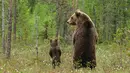 short desc