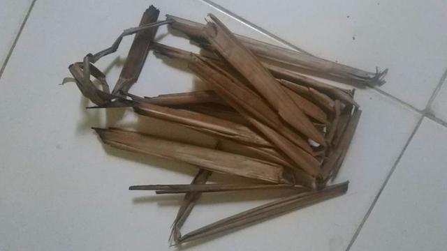 Seikat daun kelapa kering yang digunakan oleh pelaku untuk menyundut anaknya (Liputan6.com/Ist)