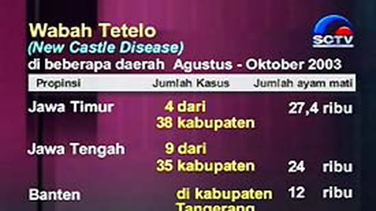 011103aWabahAyam2.jpg