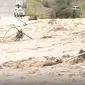 Tangkapan layar dari video menunjukkan banjir melanda Oman bagian utara. (AFP)