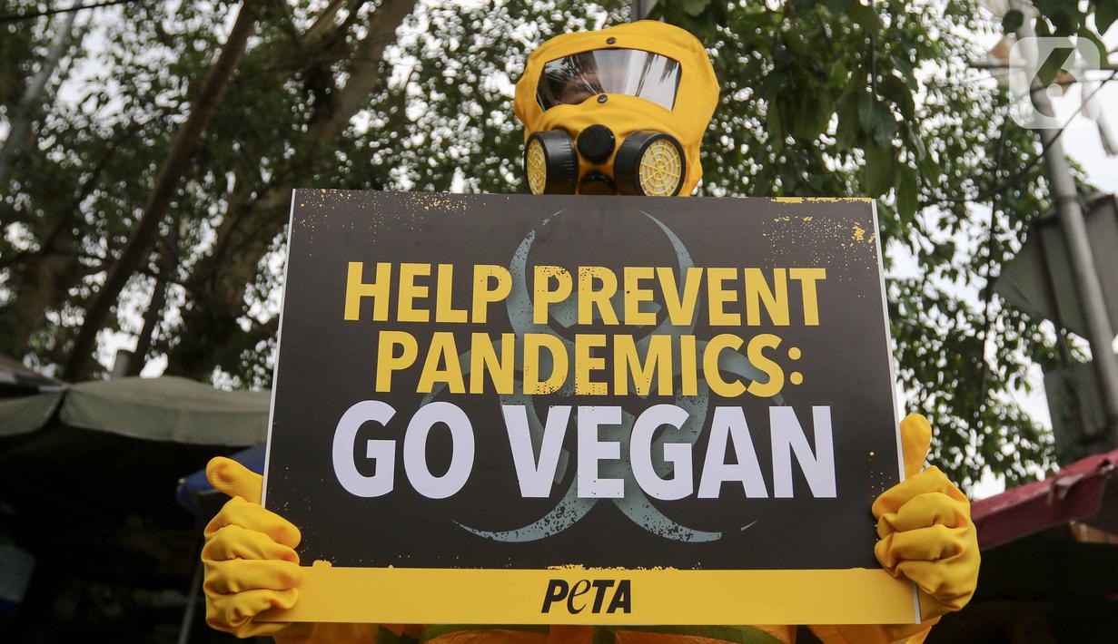 Zoonosis atau penyakit zoonotik merupakan penyakit yang dapat ditularkan dari hewan ke manusia ataupun sebaliknya. (Liputan6.com/Herman Zakharia)