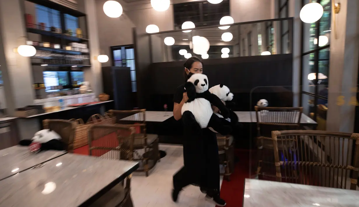 Pramusaji restoran Maison Saigon menggunakan boneka panda untuk menjaga jarak para tamu di Bangkok, Rabu (13/5/2020). Pemerintah Thailand sudah memberlakukan pelonggaran lockdown atau pembatasan wilayah sehingga sejumlah restoran dan toko-toko dapat beroperasi kembali. (AP/Sakchai Lalit)