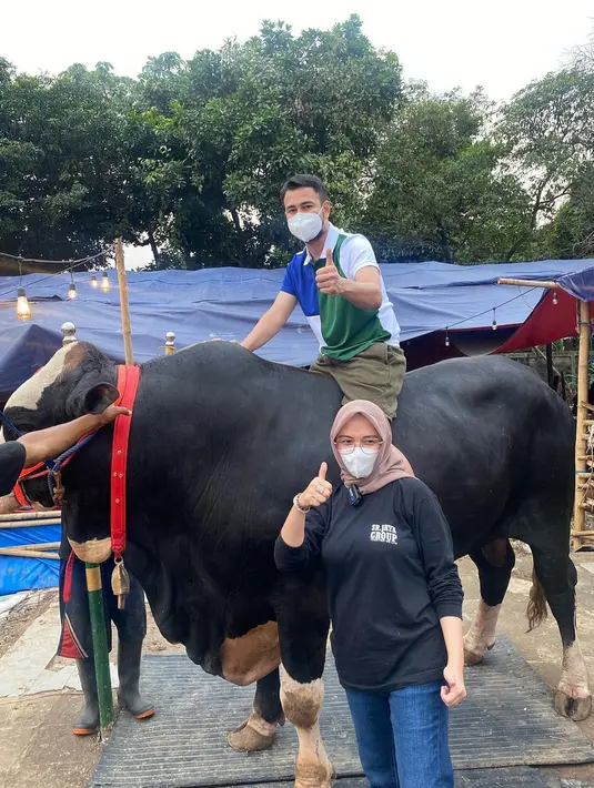 Salah satu sapinya, bahkan ada yang beratnya mencapai 1,4 ton. Sapi yang terbesar dibelinya itu bernama Bager dan berasal dari Gunung Kidul. (Instagram/raffinagita1717)