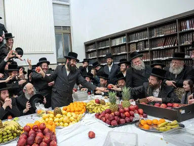 Orang-orang Yahudi Ultra-Ortodoks dari Zweil Hasidim membagikan buah-buahan saat mereka merayakan Hari Raya Tu Bishvat atau Tahun Baru Pohon di Yerusalem, 5 Februari 2023. Saat perayaan Tahun Baru Pohon, orang-orang Yahudi Ultra-Ortodoks berkumpul dengan para rabi mereka di sekitar meja panjang berisi piring-piring berisi beberapa jenis buah-buahan. (AP Photo/Ohad Zwigenberg)