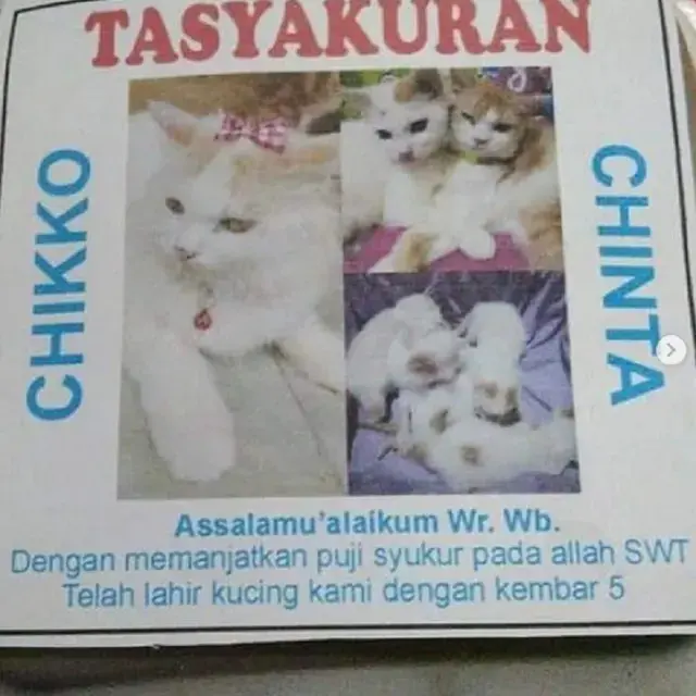 6 Undangan Tasyakuran Nyeleneh Ini Bikin Tepuk Jidat